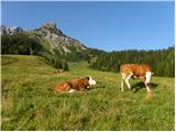 Parkirišče Erichhütte - Hoher Kopf